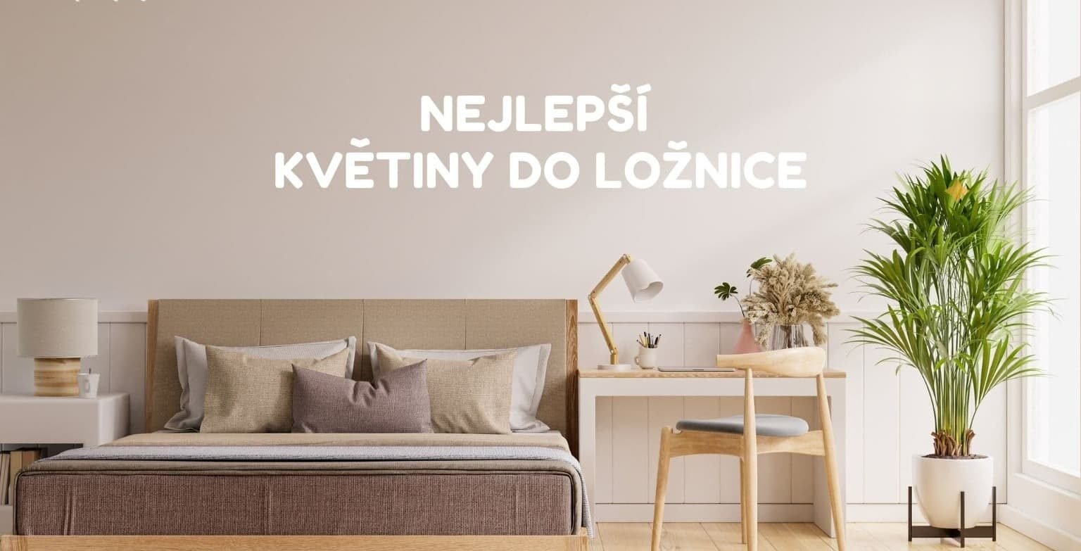 Nejlepsi Kvetiny Do Loznice