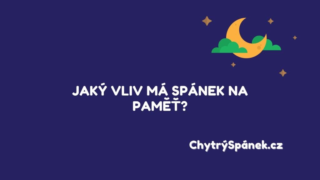 Vliv Spanku Na Pamet