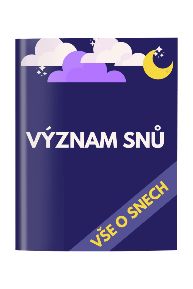 Kniha Cover